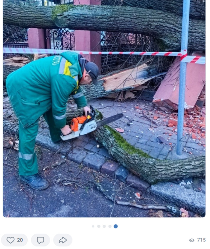 Упавшие во время шторма деревья в Калининграде