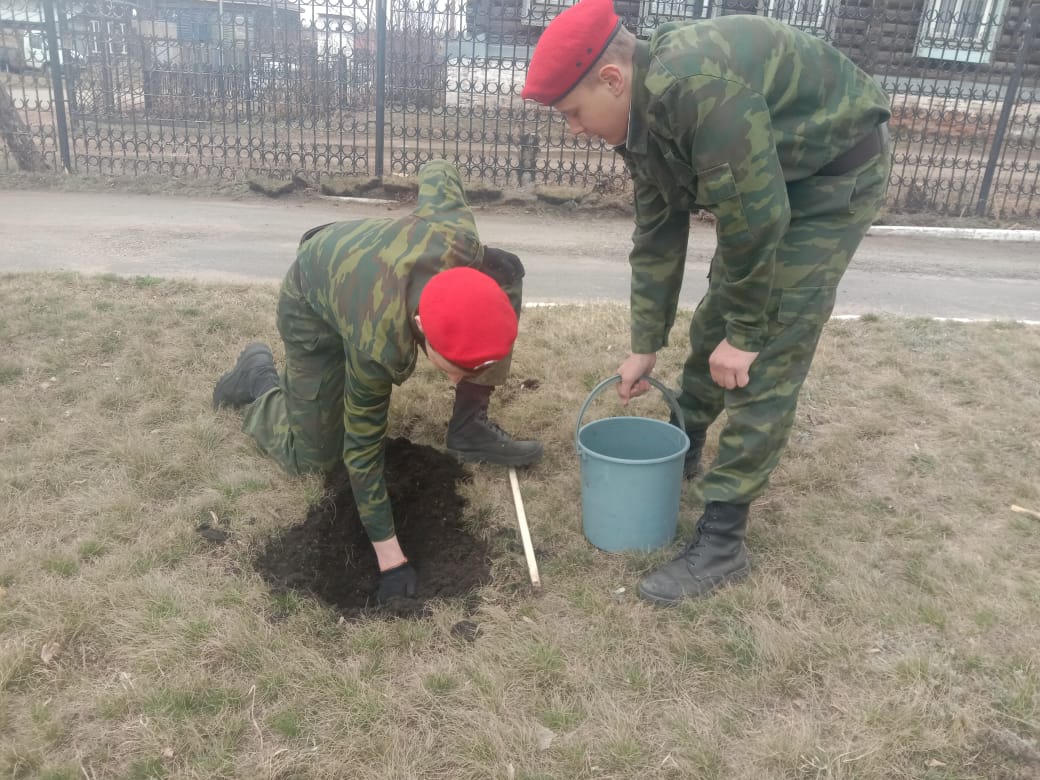 Высадка кедров в Верхнеуральске