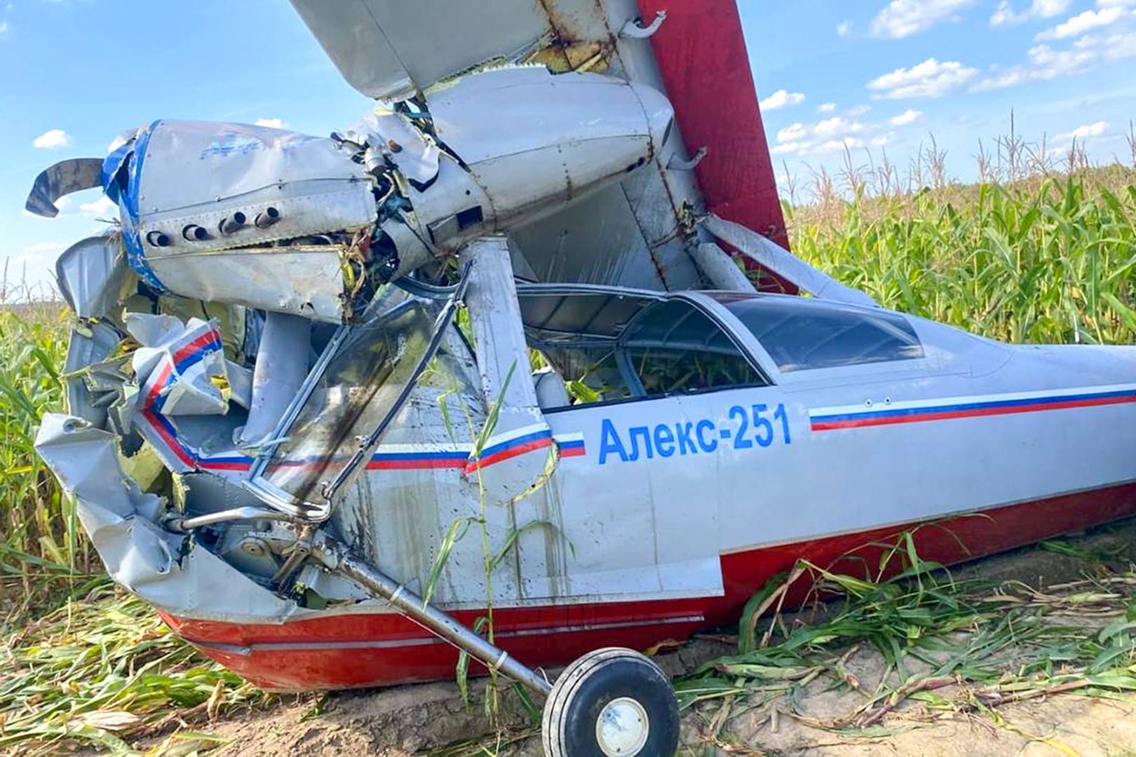 Кадры с места крушения самолета «Алекс-251» в Подмосковье