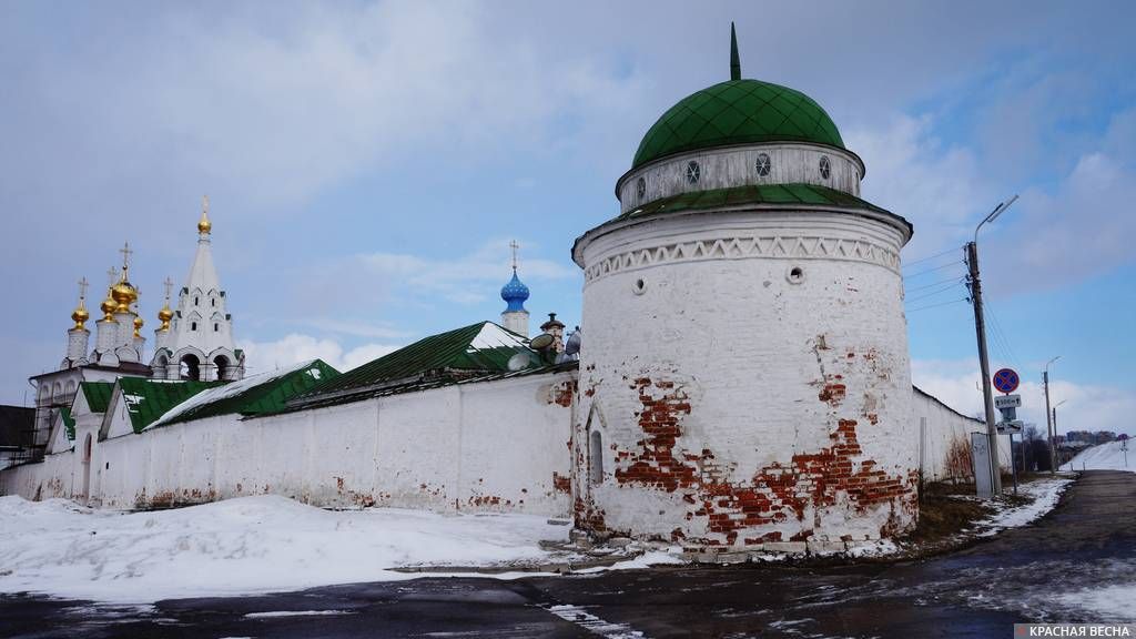 Рязанский кремль. Рязань. 23.03.2016