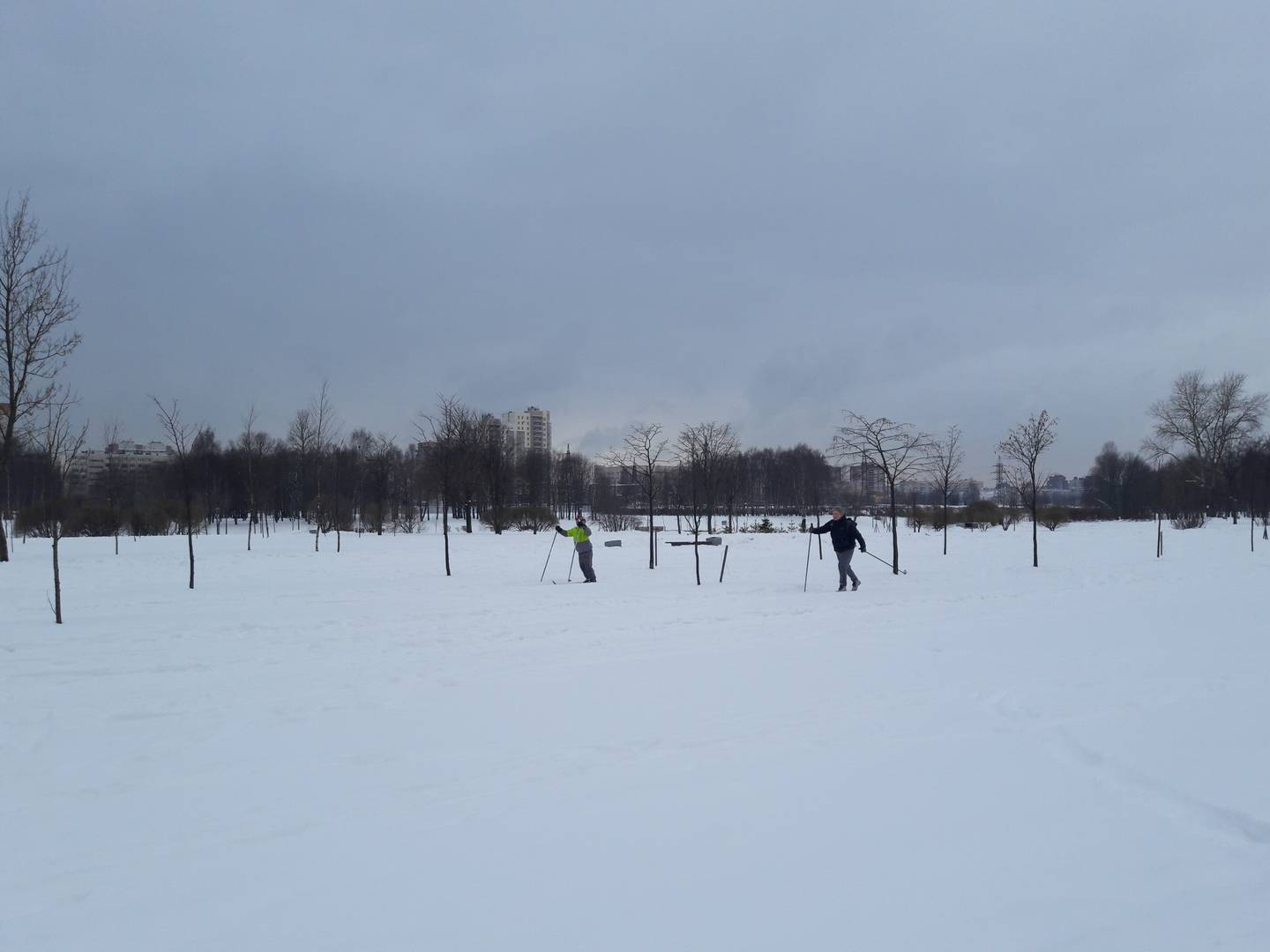 Лыжники в Муринском парке, Санкт-Петербург