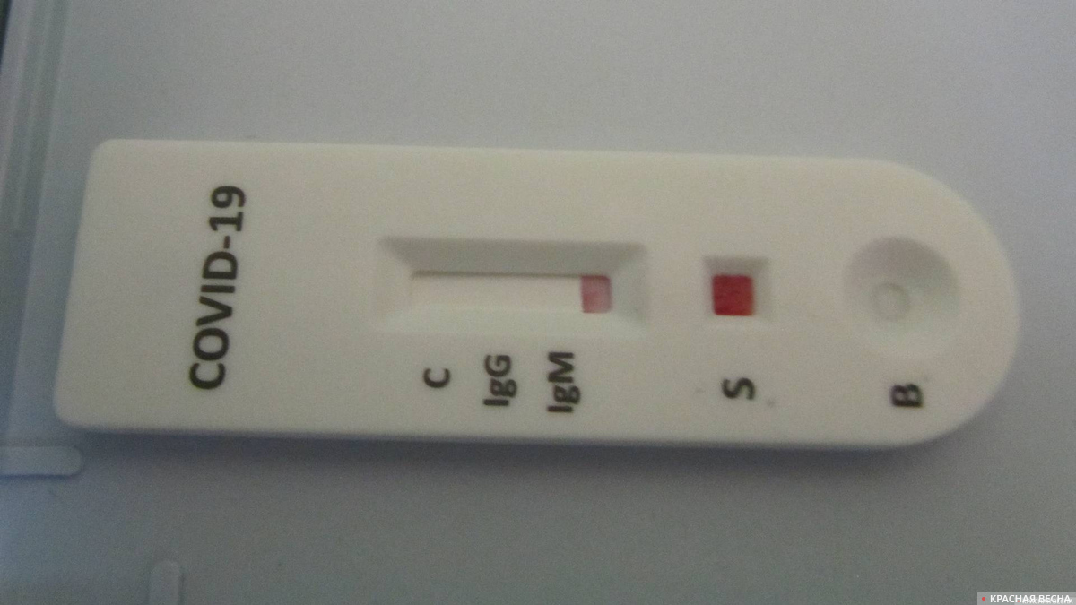 Тест на коронавирус