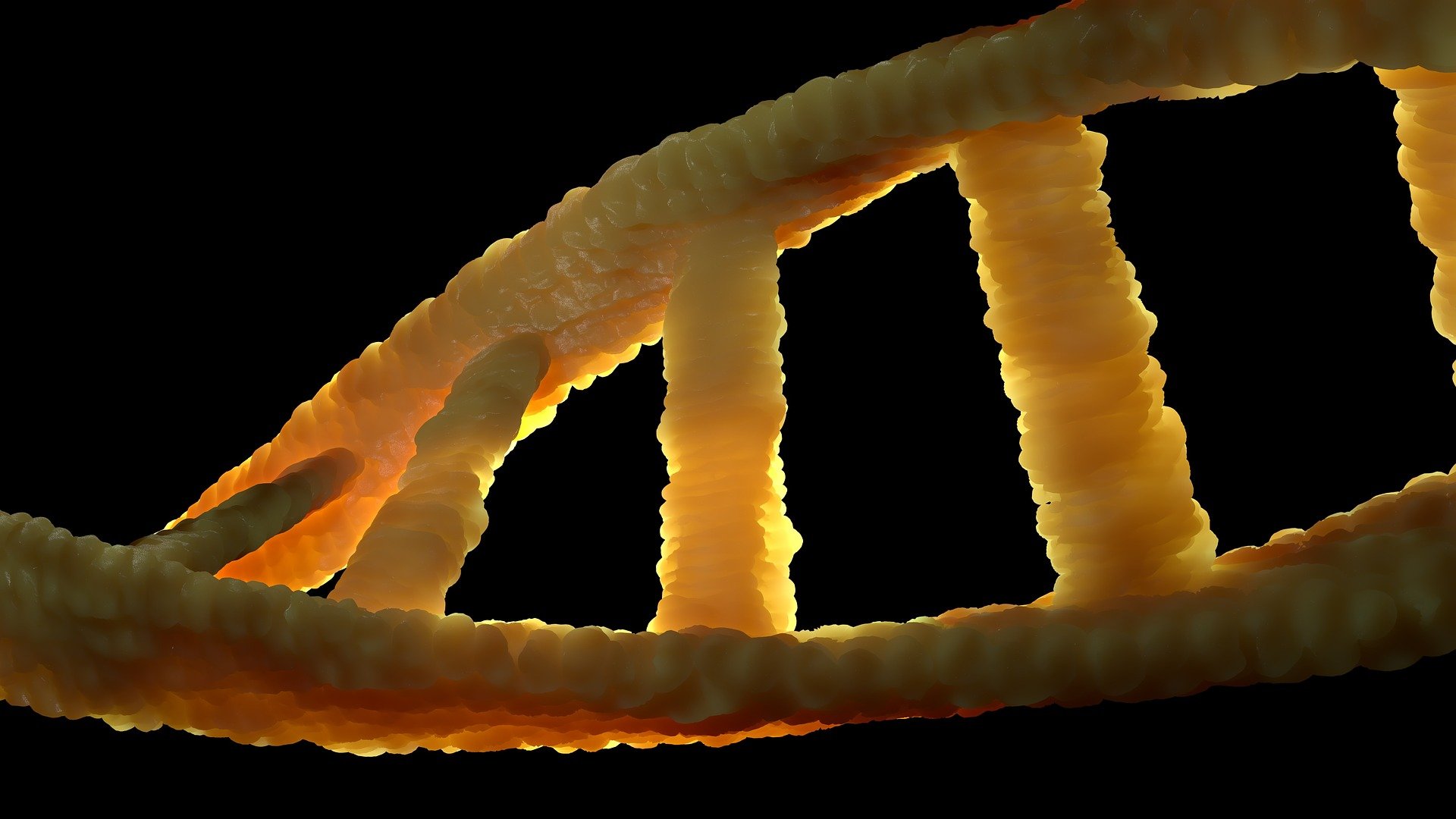 dna