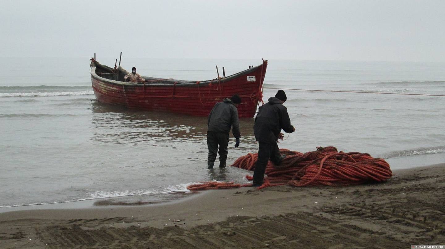 Рыбки на южном берегу Каспийского моря. Иран