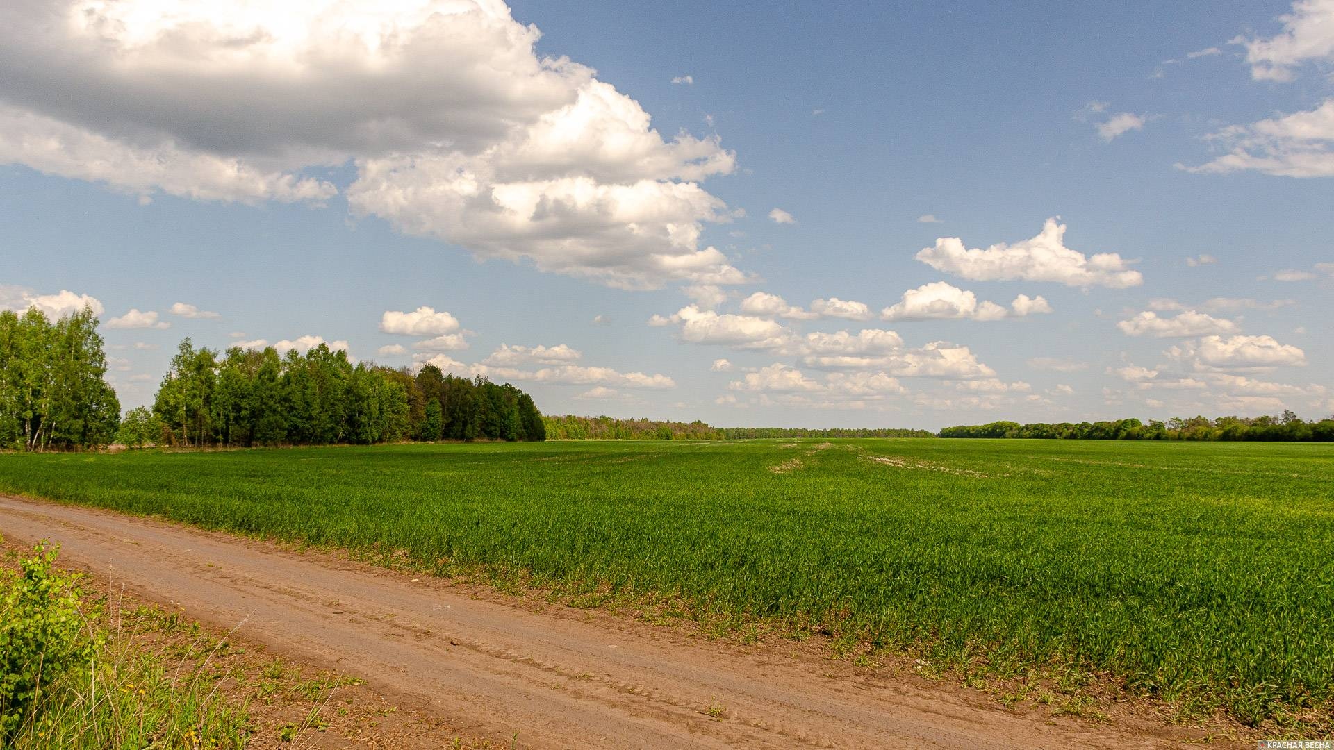 Весна. Орловская область.