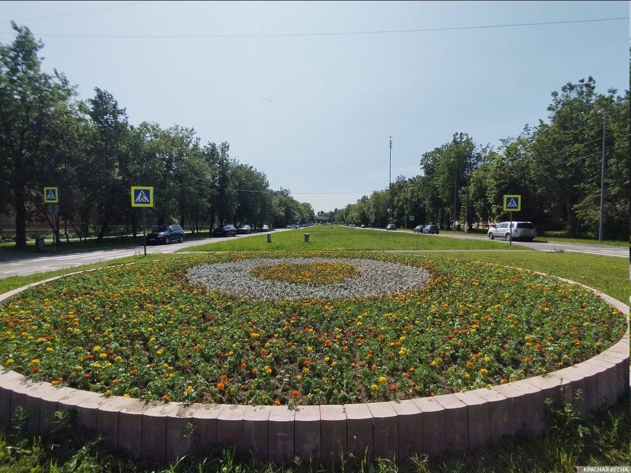Клумба на ул. Главная Восточного поселка (ВАО, Москва), май 2025 года