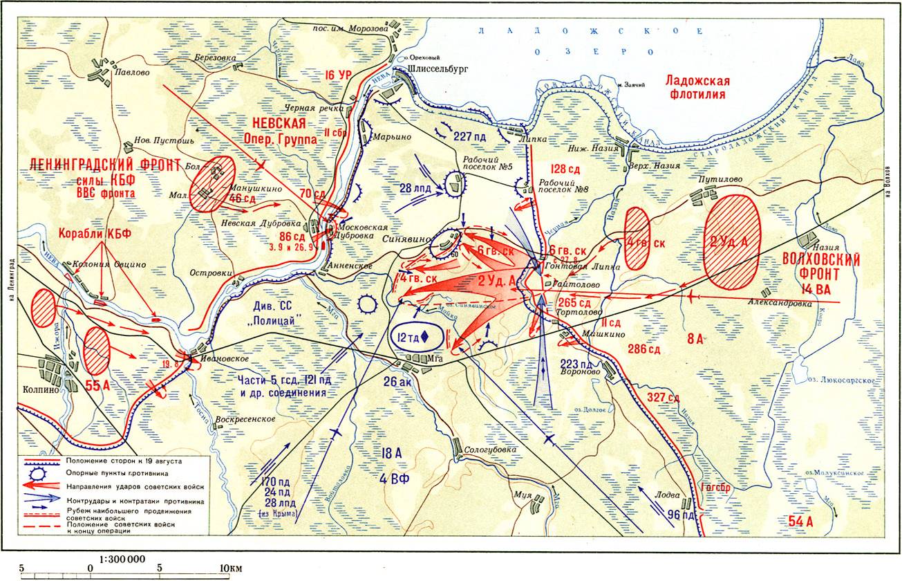 Синявская наступательная операция. Август-сентябрь 1942 г.