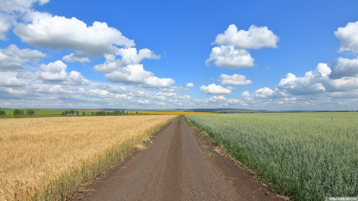 Передел собственности