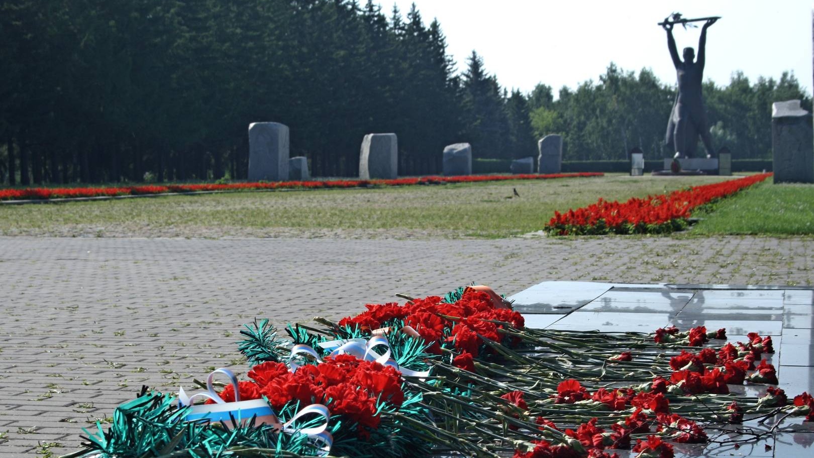 Гвоздики у памятника в Парке Победы. Омск