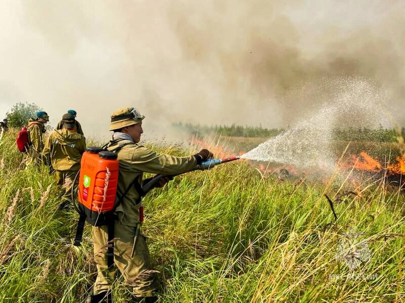 Тушение ландшафтных пожаров