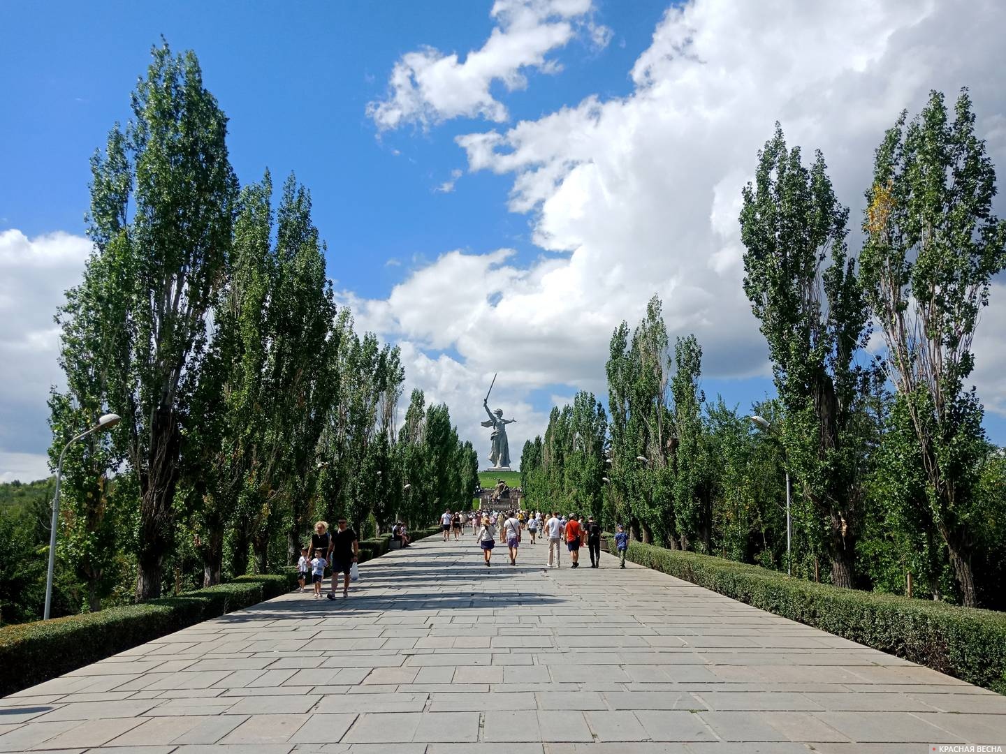 Сталинград. Мамаев курган. Аллея пирамидальных тополей