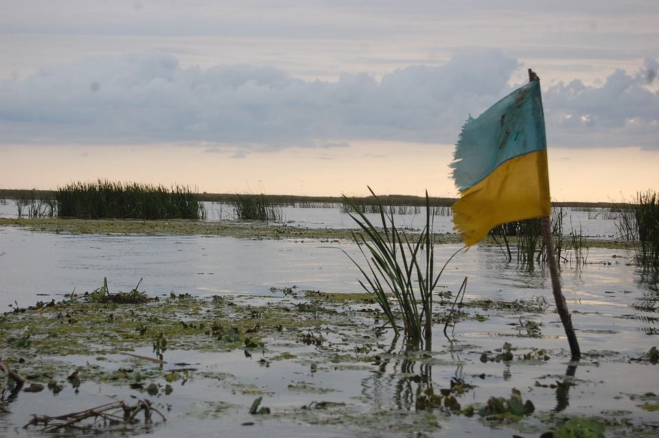 флаг, украина, болото