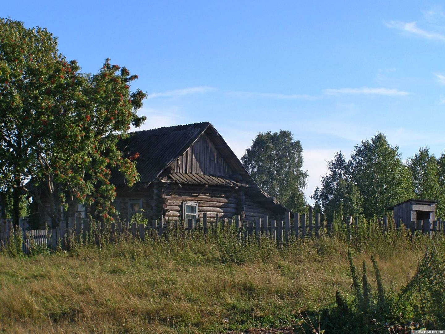 Дом в деревне