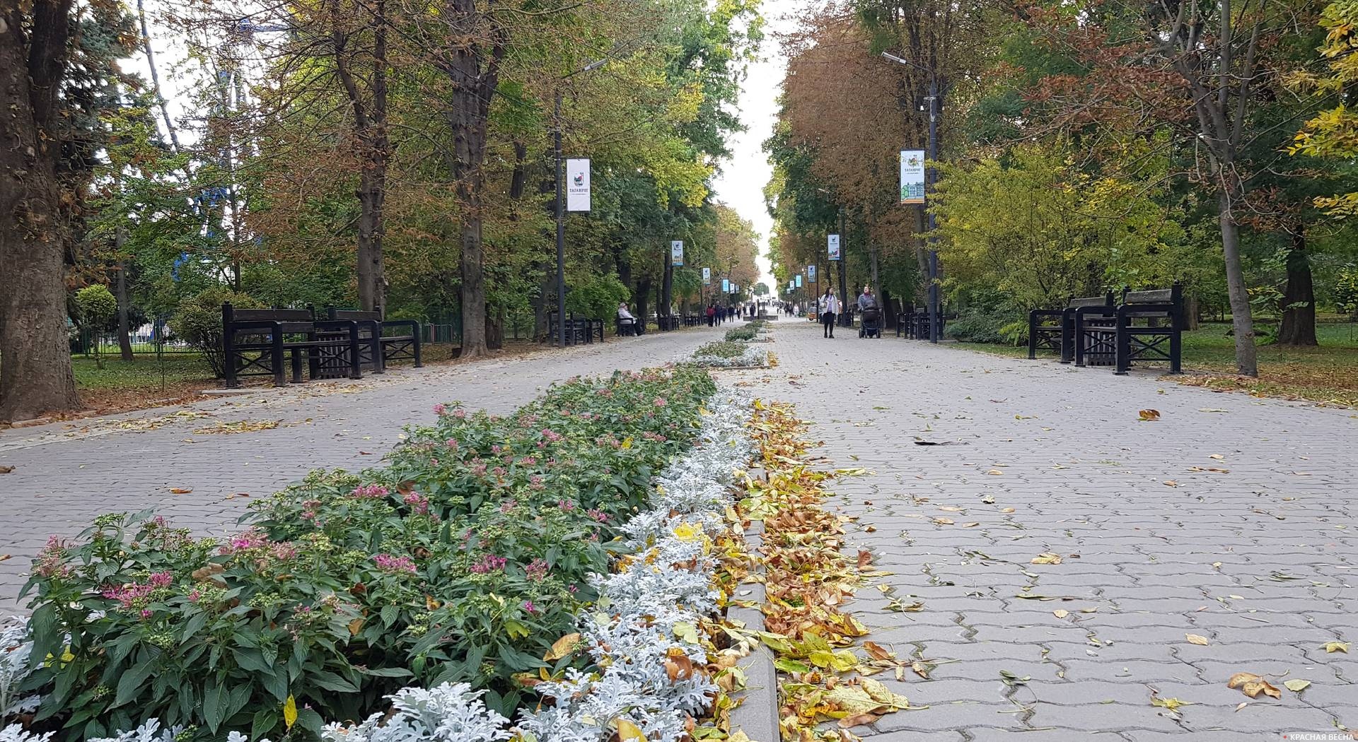 Аллея в парке имени М. Горького в Таганроге