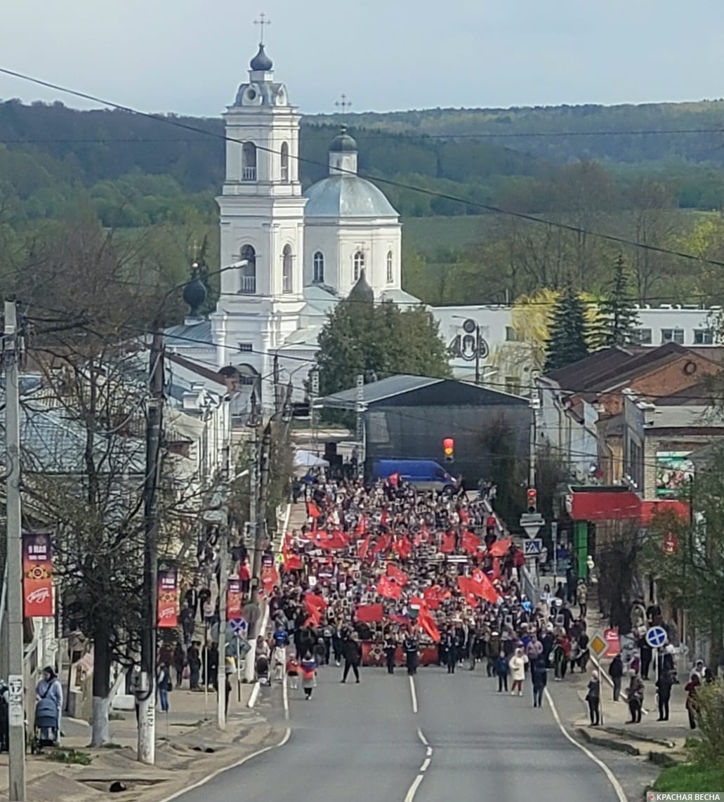 Таруса, Бессмертный полк