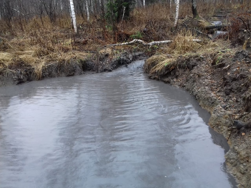 Грязная вода в малых реках