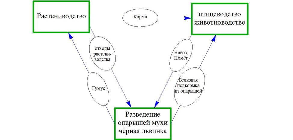 Биологически замкнутая цепочка.