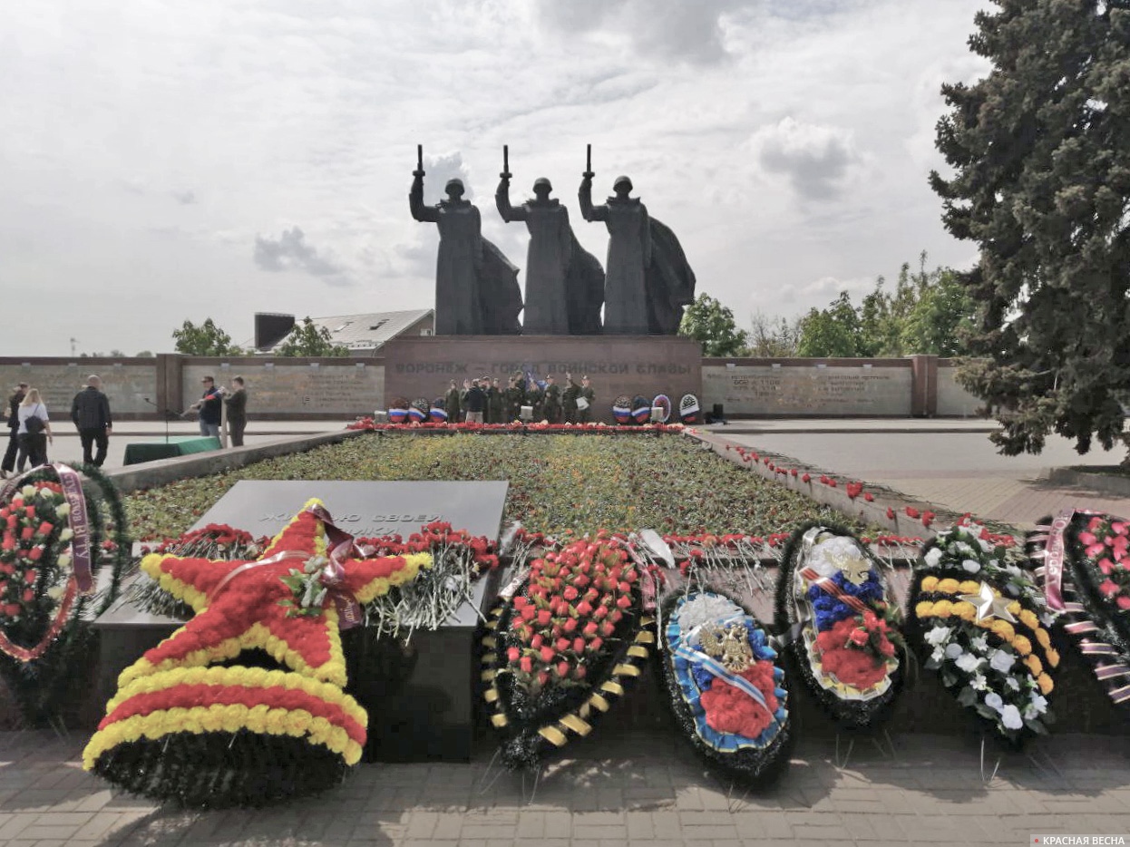 Чижевский плацдарм. Воронеж.