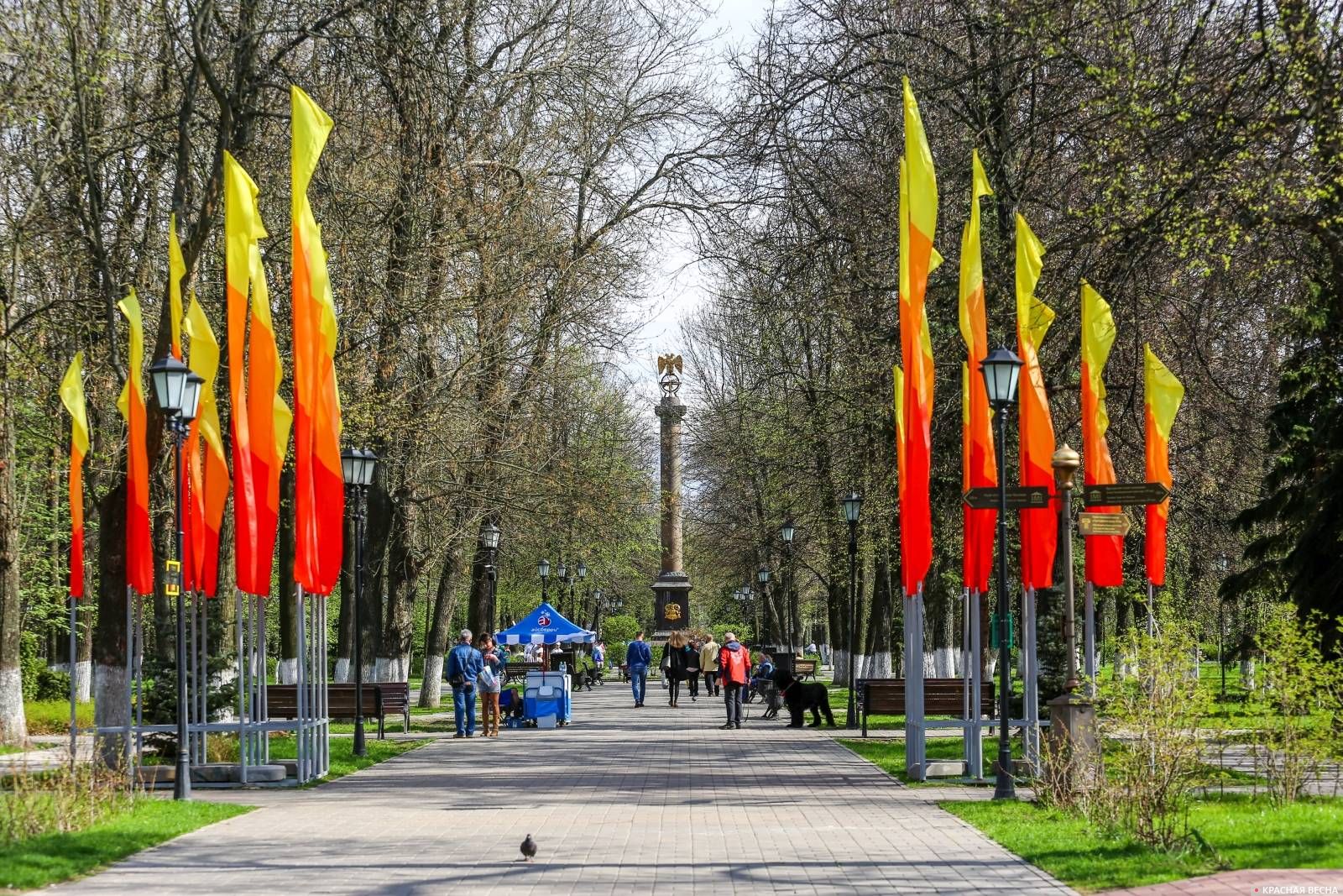 Праздничное оформление в центральных парках Ярославля скудно и не несет никакой смысловой нагрузки