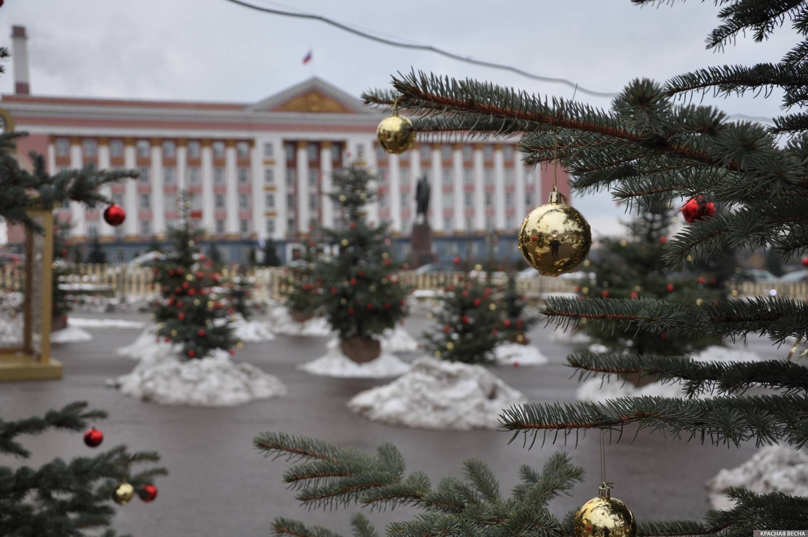 Пространство Красный лес на Красной площади Курска