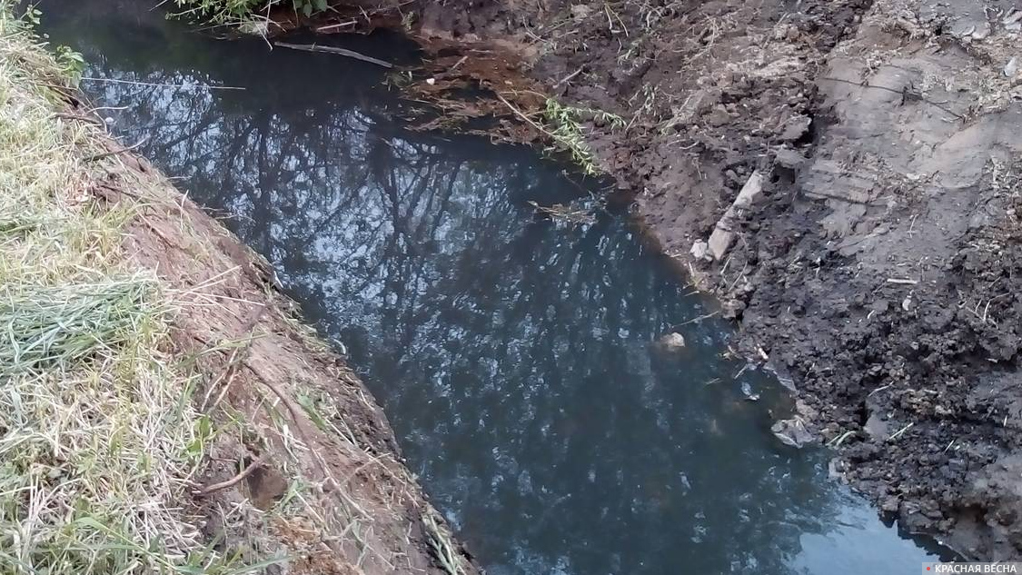 Загрязненный водоем