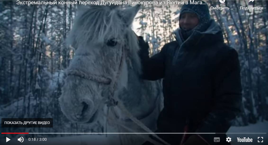 Цитата из видео «Экстремальный конный переход Дугуйдана Винокурова из Якутии в Магаданскую область. 24.05.2023». ЯСИА. ysia.ru