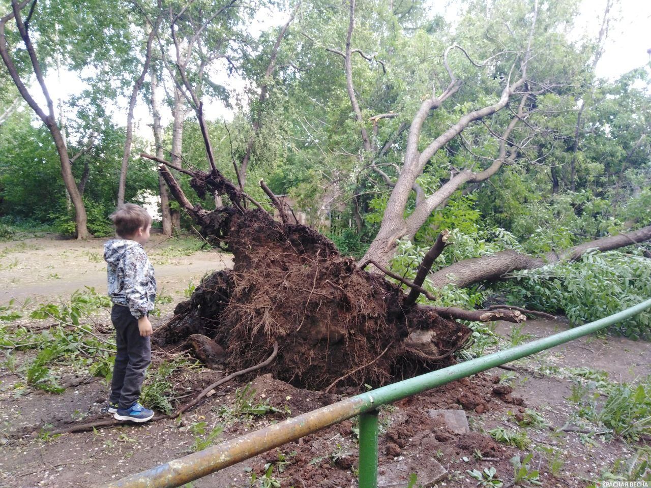 Последствия урагана в Екатеринбурге