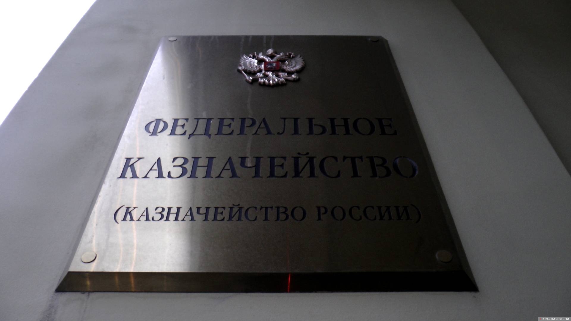 Федеральное казначейство (Казначейство России)