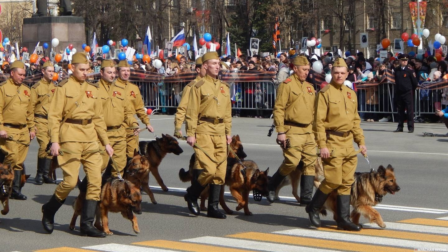 Кемерово. Кинологи на параде