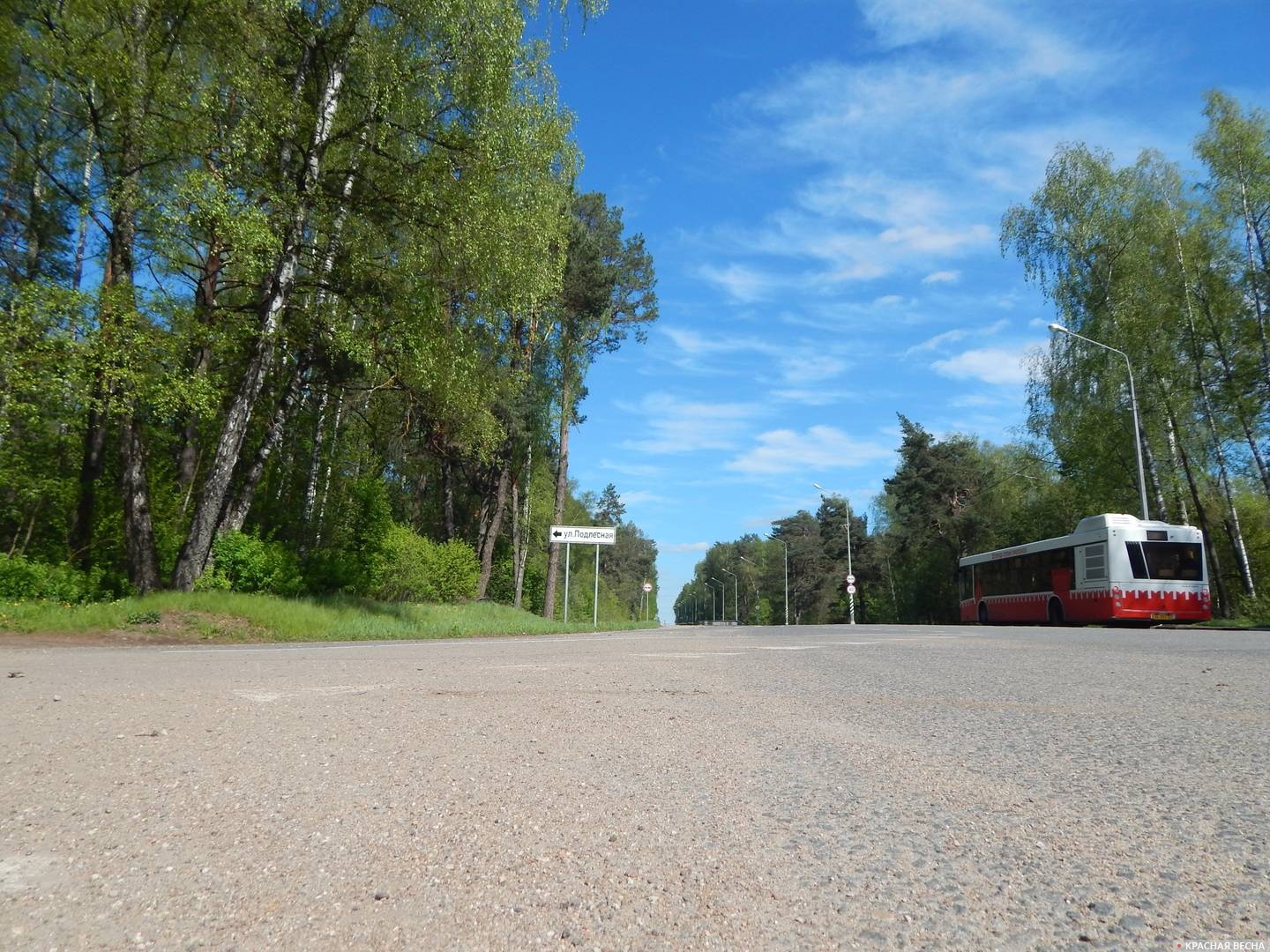 Смоленск, Гнездово, Витебское шоссе