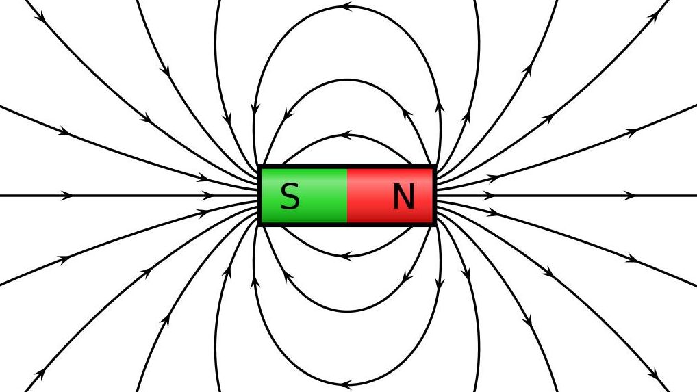 Линии магнитного поля цилиндрического магнита