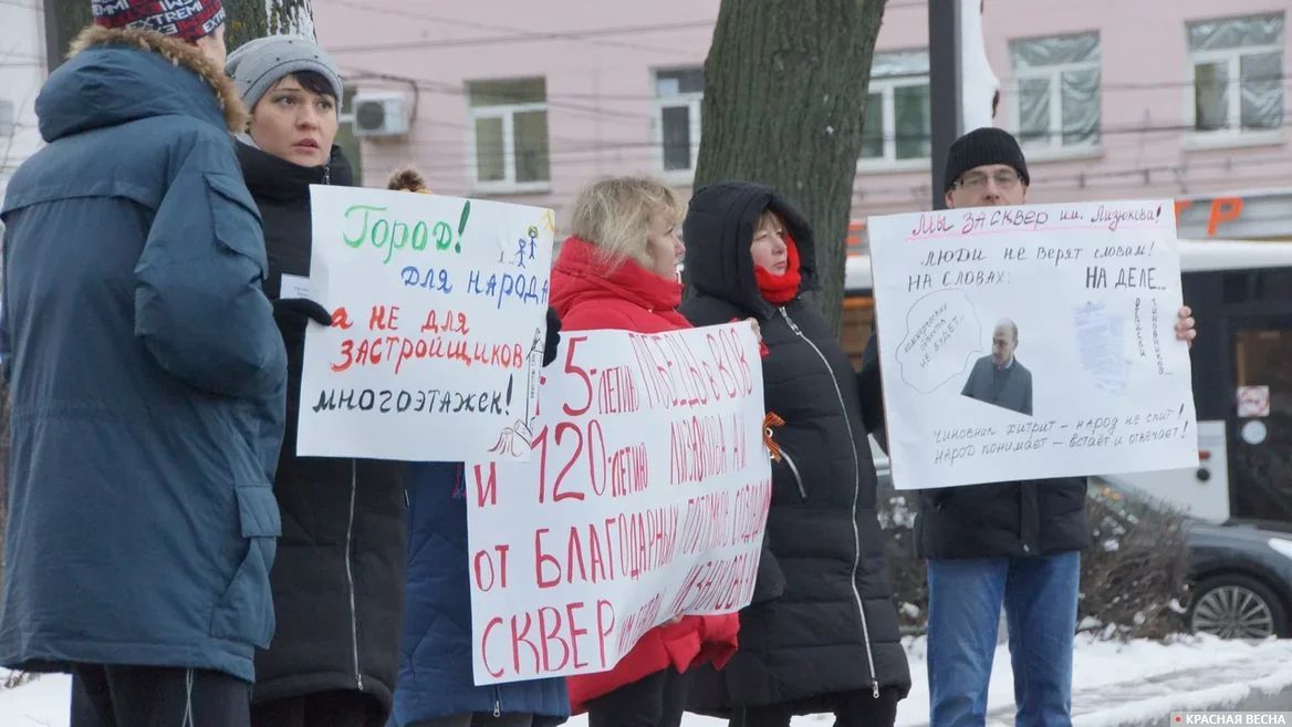 Митинг в защиту «зеленого пояса» Воронежа, 13.01.2019