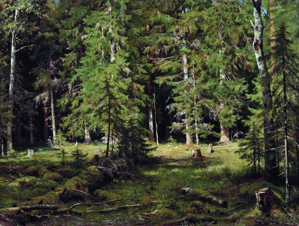 И. И. Шишкин. Лес. 1880-е