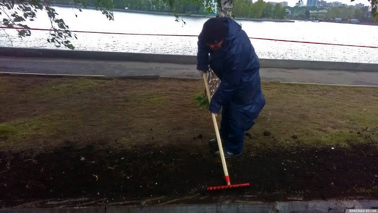 Сквер на Октябрьской площади, Екатеринбург, 21 мая 2019 года