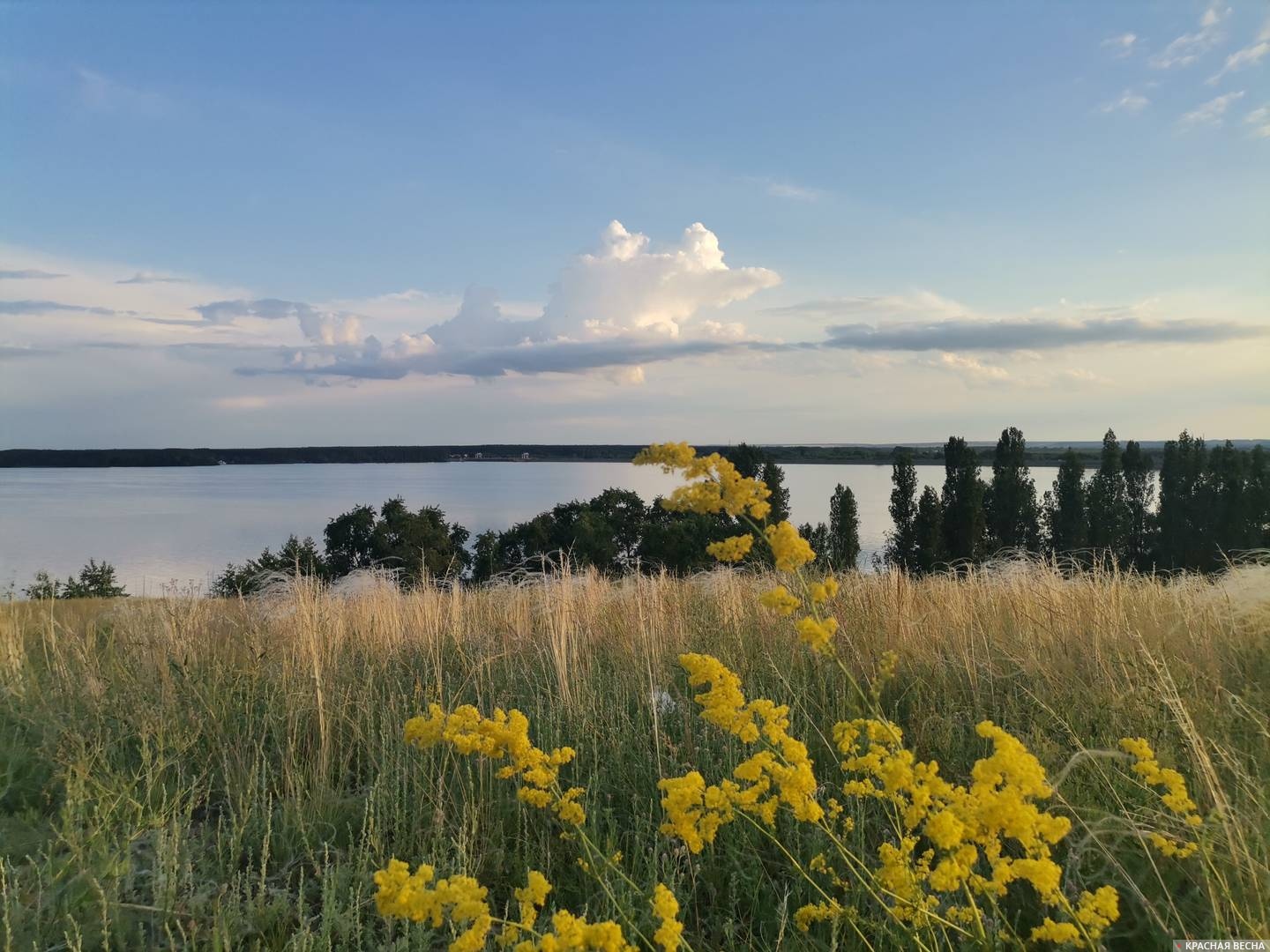 Воронежское водохранилище