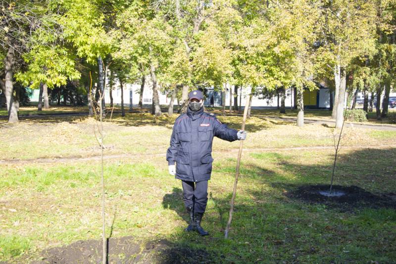 Посадка деревьев в Пензе