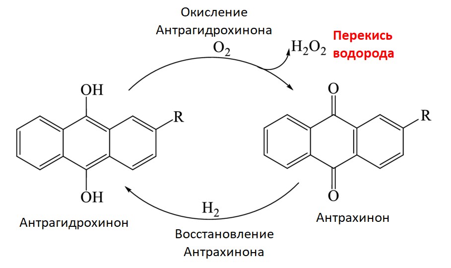 Рисунок 1