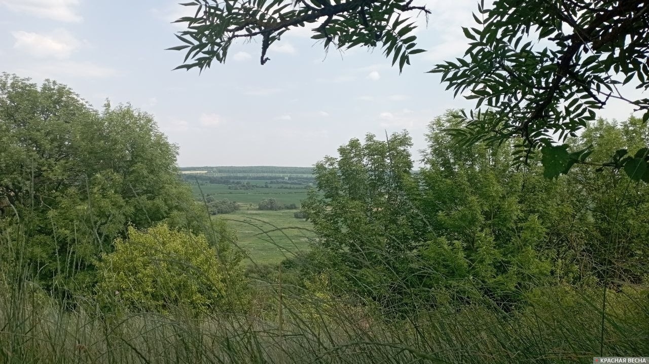 Белгородская область