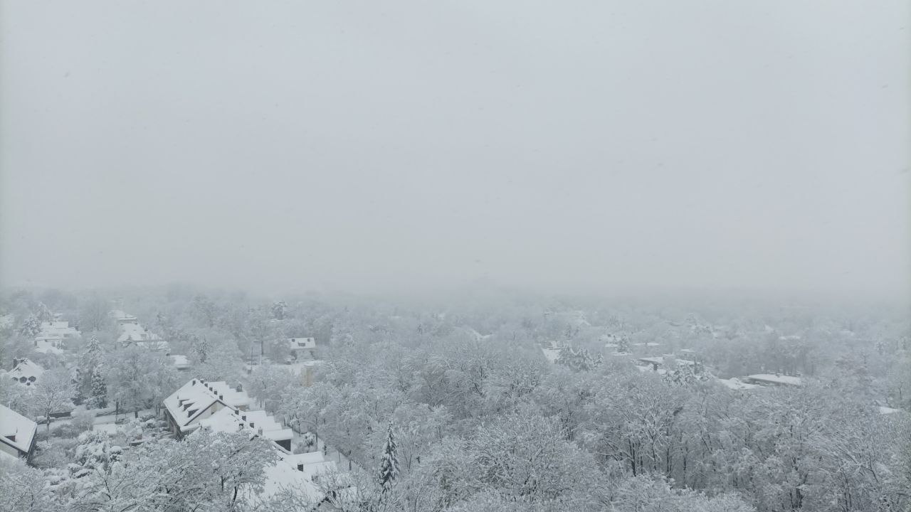 Район Bogenhausen, улица Oberföhringer. Мюнхен, Германия