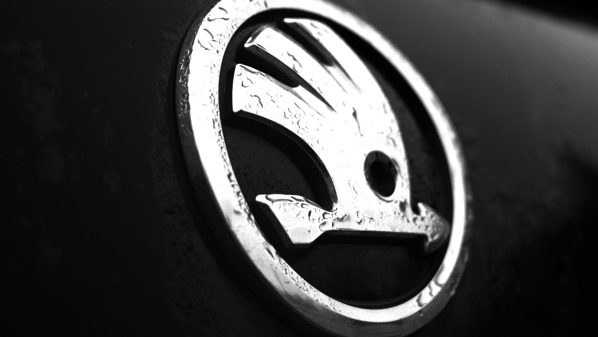 Логотип Skoda