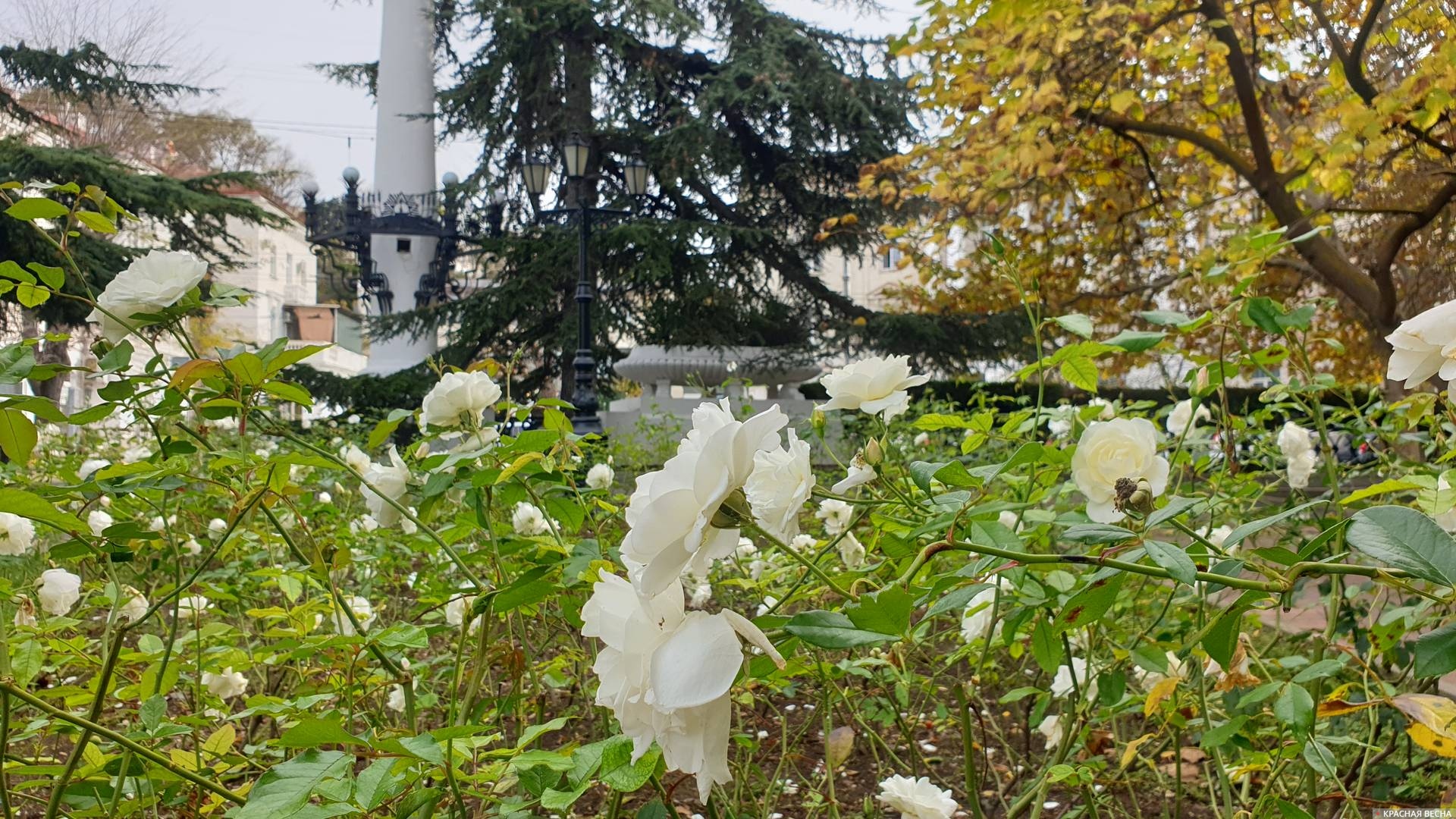 Приморский бульвар. Севастополь 