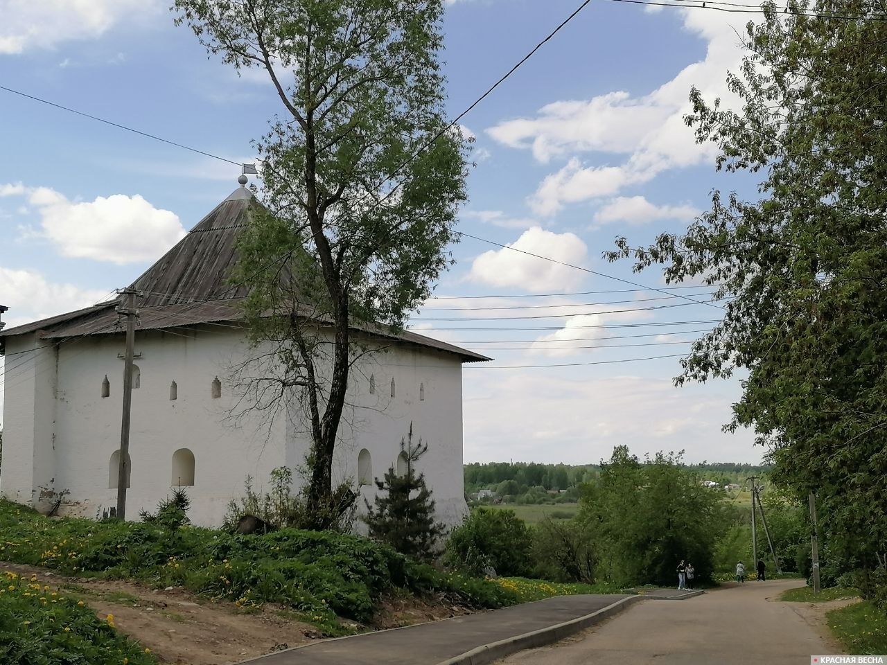 Дорога. Вяземский район, Смоленская область