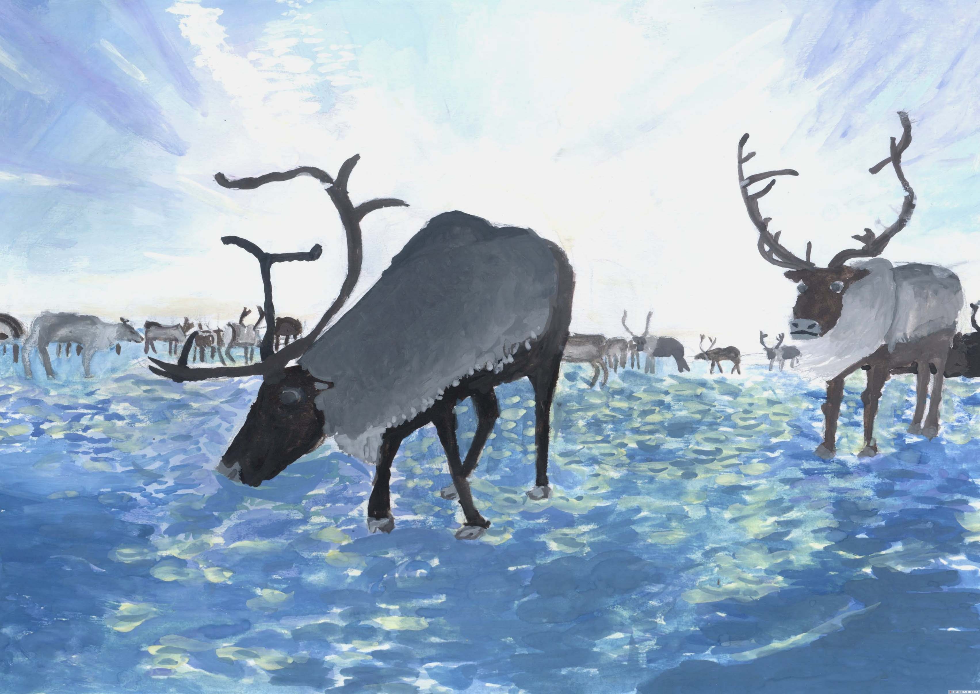 Олени на Ямале, детский рисунок