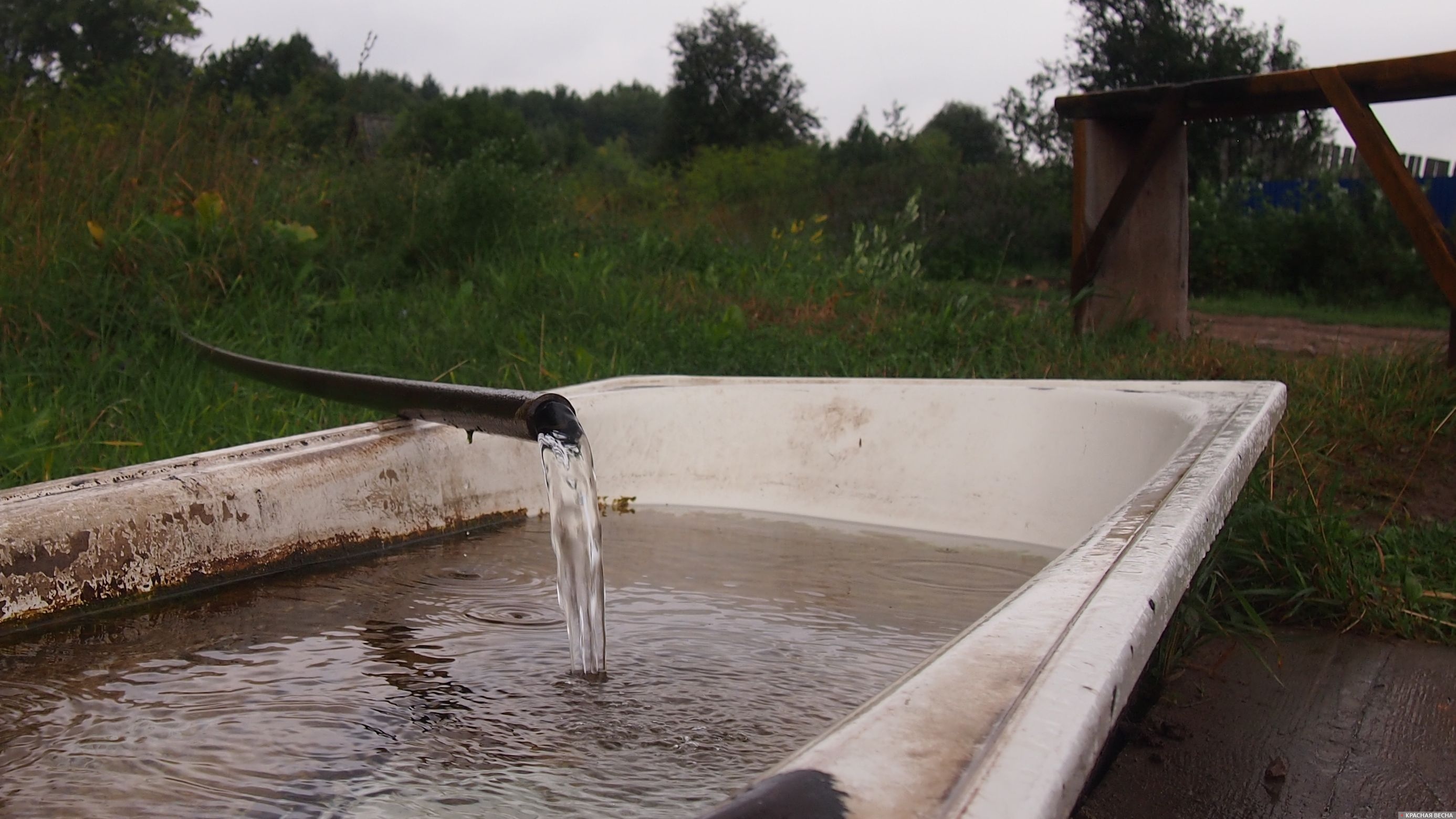 Ключевая вода