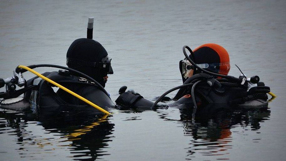 Водолазы