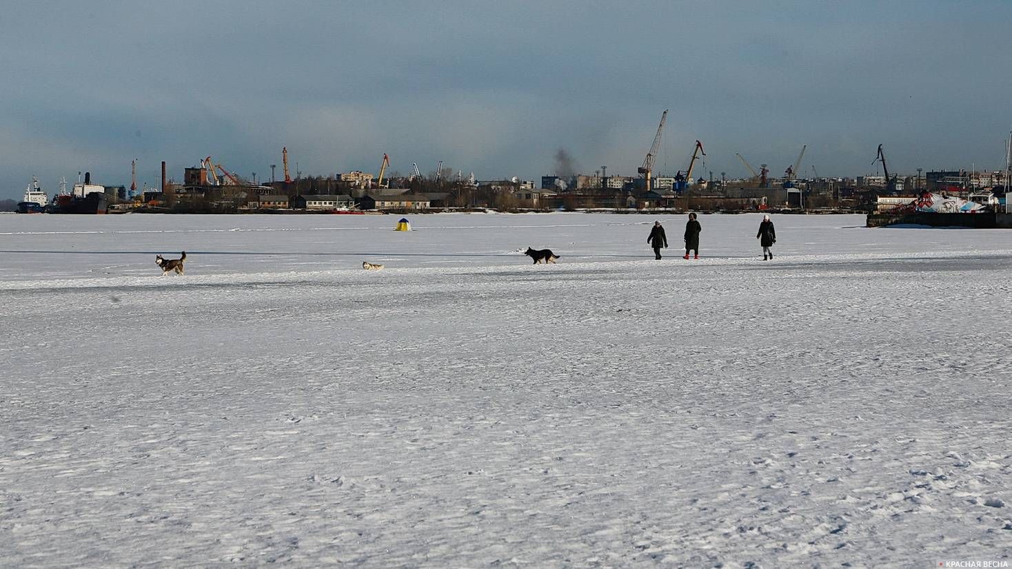 Архангельск. На Северной Двине