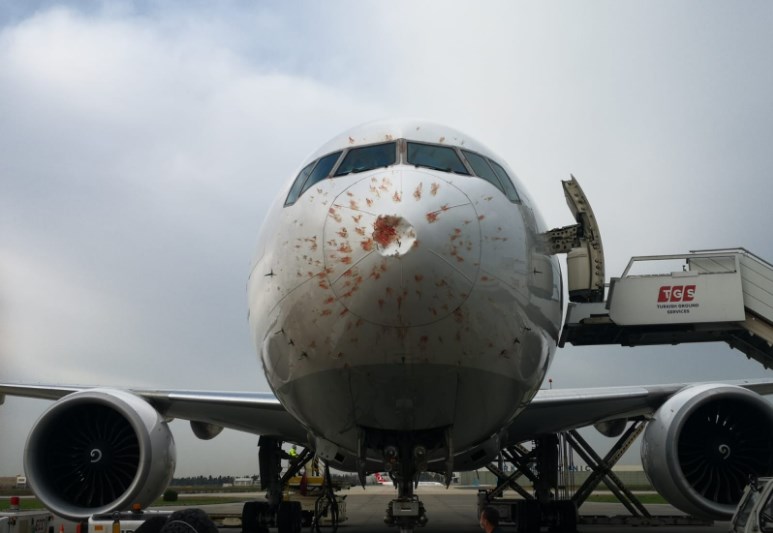 Boeing 777 авиакомпании Turkish Airlines Cargo