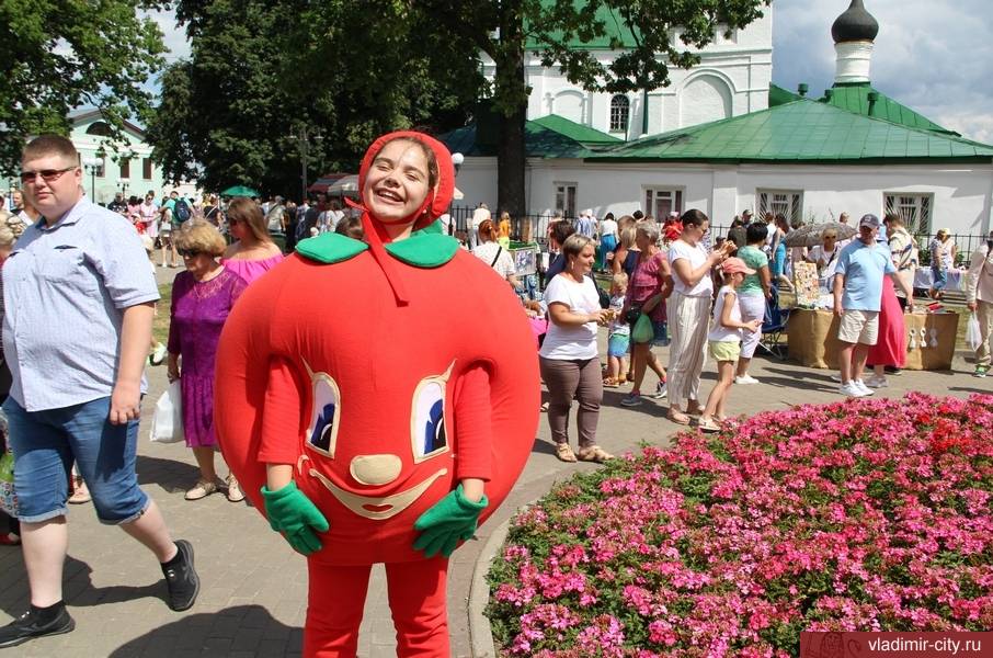 Праздничные мероприя «Вишневого Спаса» во Владимире