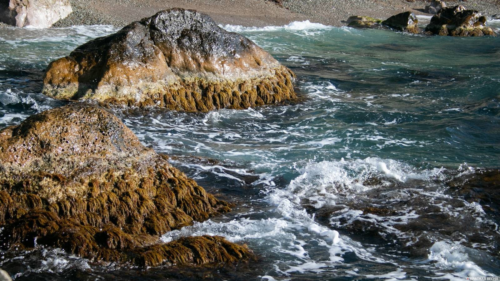 Море