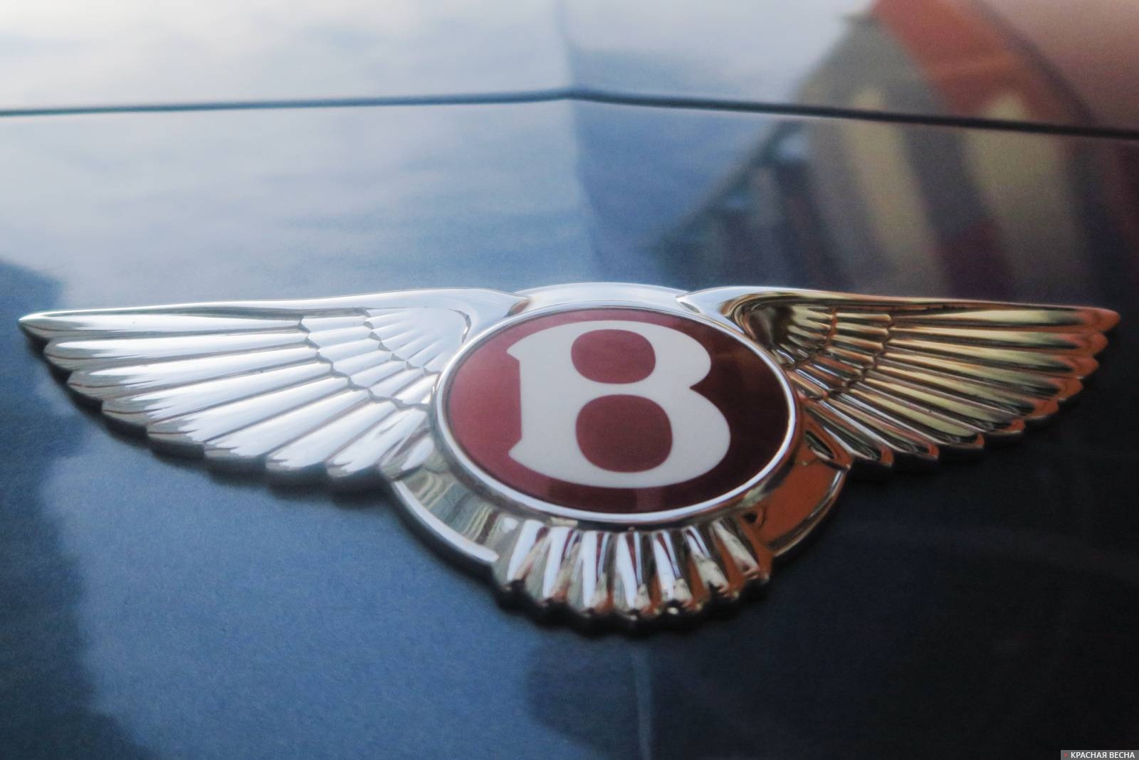 Bentley (Бентли)